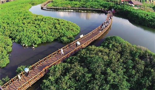 鸭迷鸭蜜泰式烤鸭饭