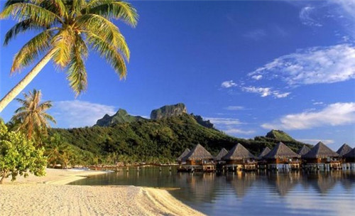 薛太保肥肠芋儿鸡