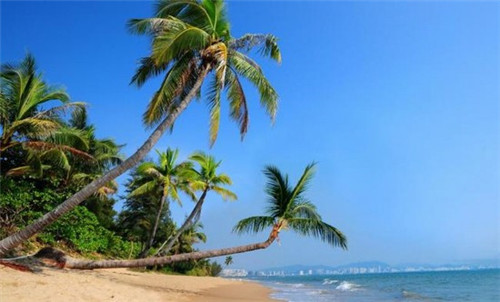 商标设计火锅怎么做