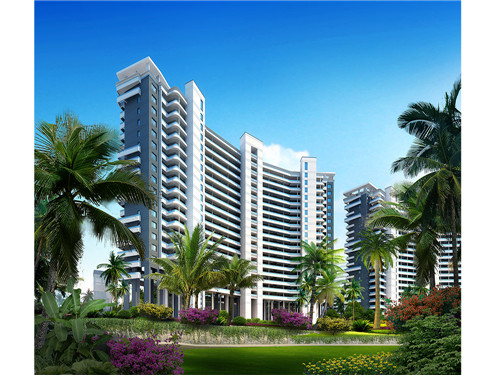 饼干哥加盟费多少，饼干大哥