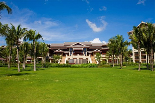 蓝紫色系洗发露（紫色洗发膏）