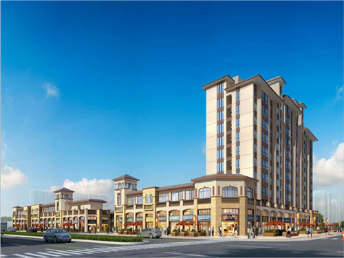 陈佬记手撕鸡购买（佬街佬味的手撕鸡做法）