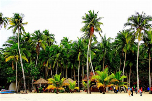 19048-2024（19048-2024执行标准）