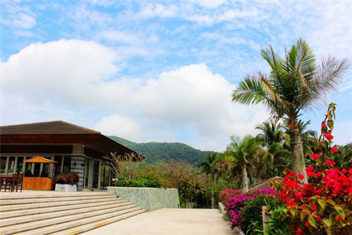 保罗十大神秘动作是什么（保罗十大神秘动作是什么电影）