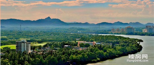 猪的十大禁忌食物是什么（猪不能吃什么食物）